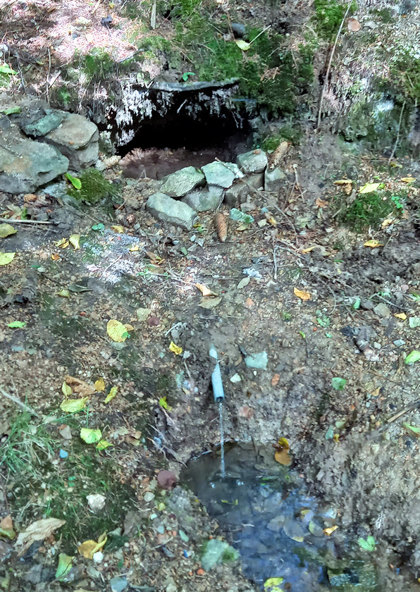 studánka bez jména (14513) - září 2022