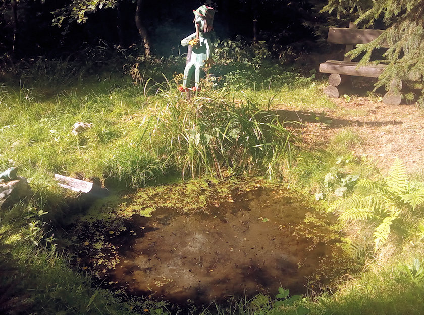 studánka Nad Brodci (14521) - září 2022