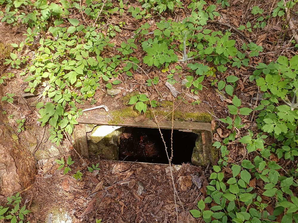 studánka Za Plovárnou (14577) - duben 2024