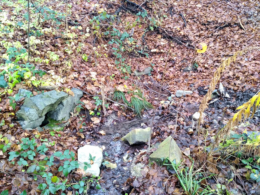 studánka U smradky (14595) - listopad 2022
