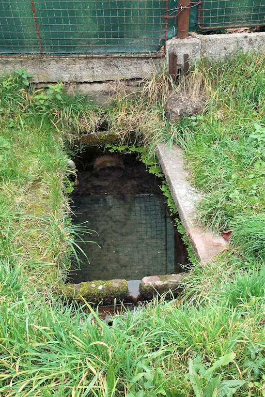 studánka Za Tratí (14602) - listopad 2022