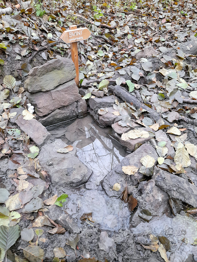 studánka Sviní pramen (14614) - prosinec 2022