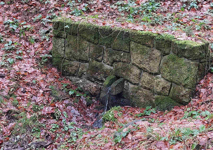 Petrova studánka (14640) - leden 2023