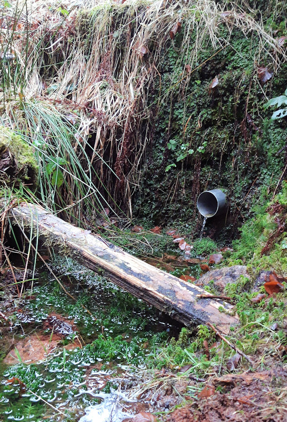 pramen Pivovárek (14643) - leden 2023