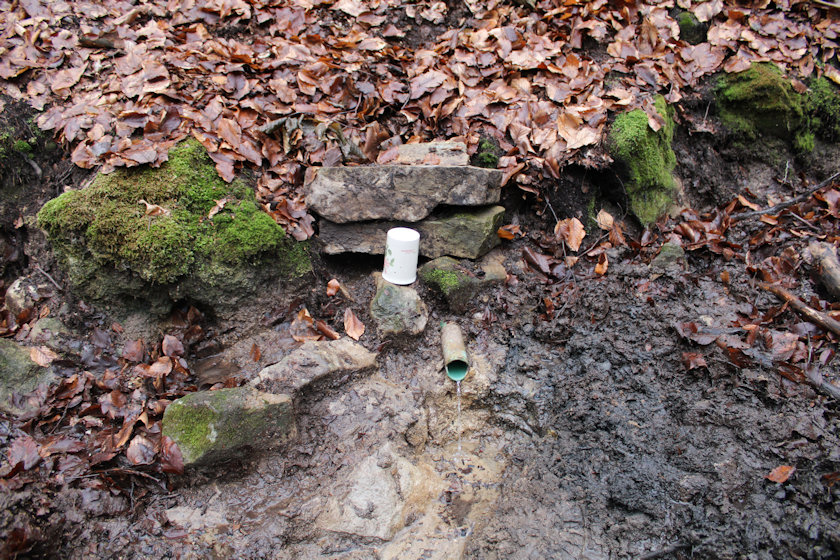 studánka Svítání (14650) - leden 2023