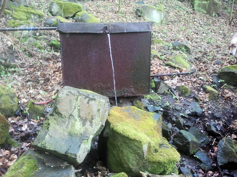 studánka Nad Vaňovem 2 (14656) - leden 2023