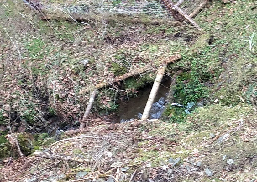 studánka Danešova (14690) - březen 2023