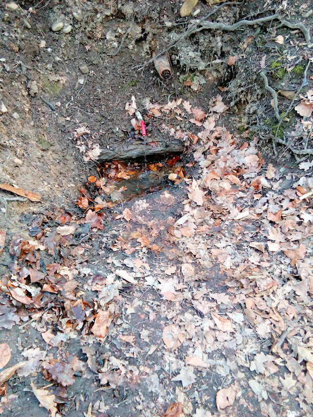 studánka V lesoparku (14695) - březen 2023
