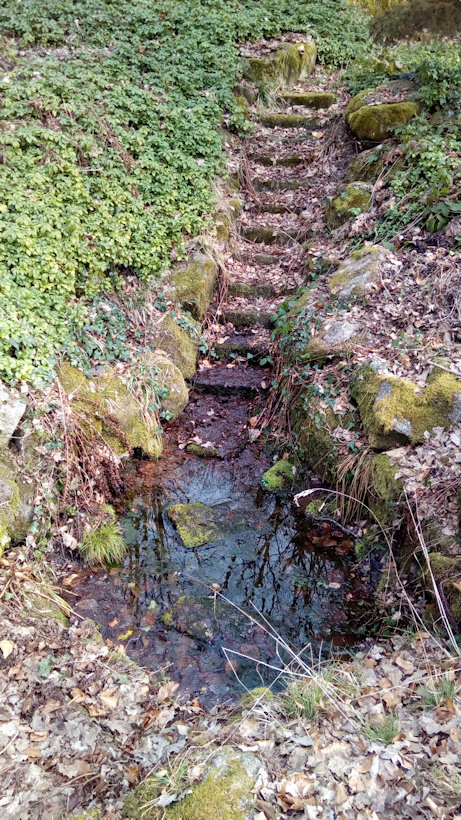 studánka U kamenného stolu (14720) - březen 2023