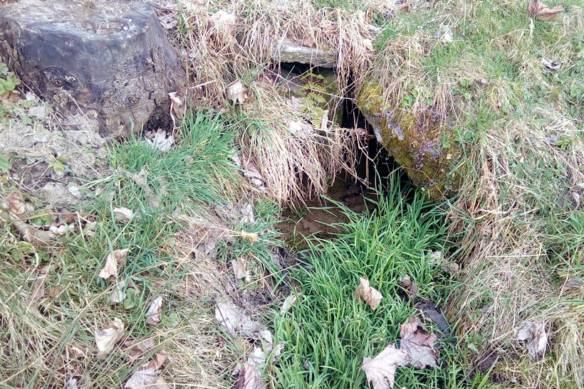 studánka U svatého Jana (14723) - březen 2023