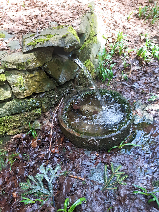studánka V Hrádsku (14755) - duben 2023