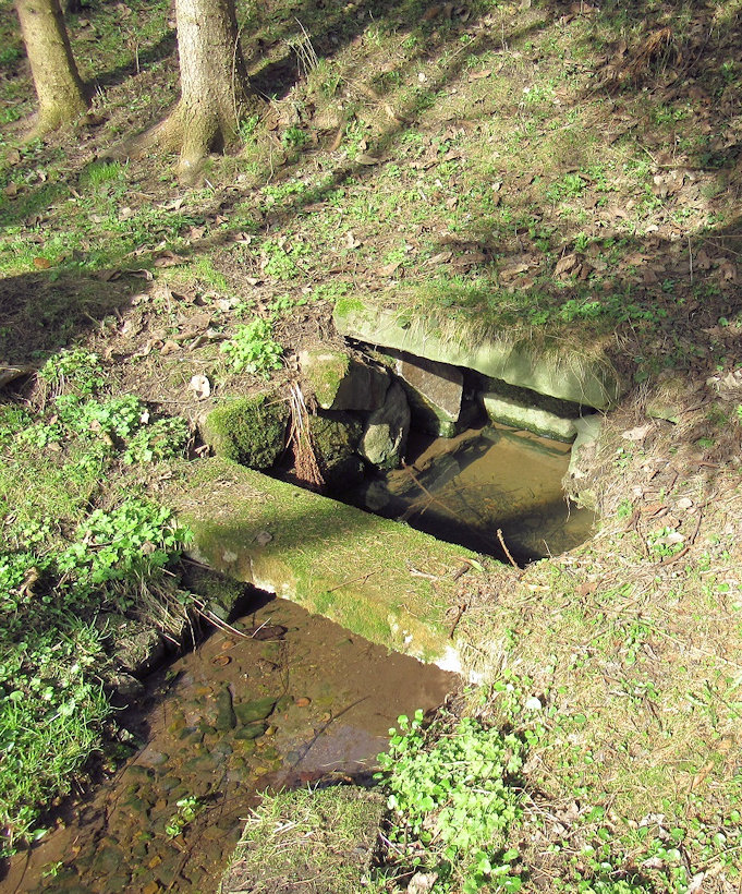 studánka Bledulová (14769) - březen 2023