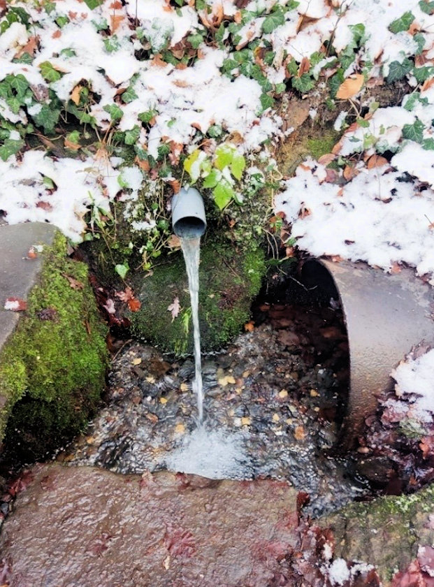 studánka bez jména (14776) - duben 2023