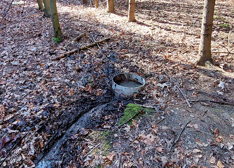 studánka U slepé cesty (14782) - duben 2023