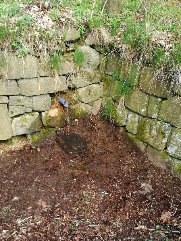 studánka U Čapího hnízda (14784) - duben 2023