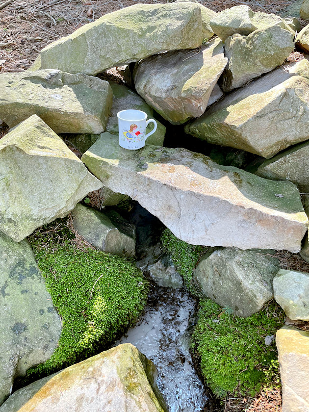 studánka Terezie (14786) - květen 2023