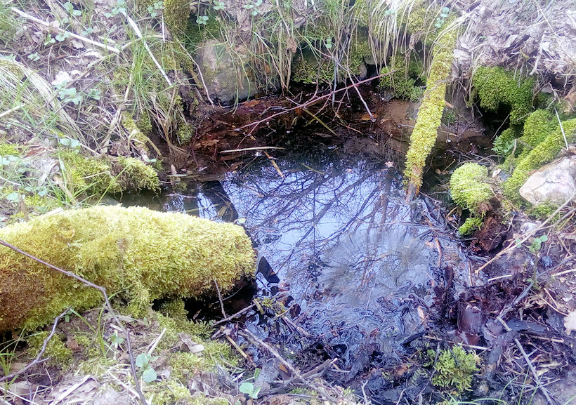 studánka Vranovská (14789) - květen 2023