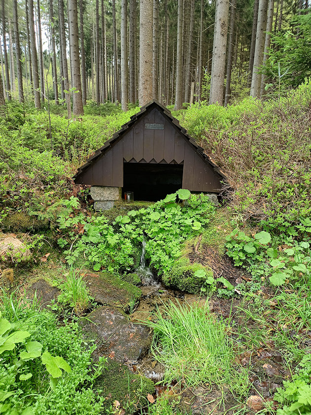 Svatotomášská studánka (14807) - květen 2023