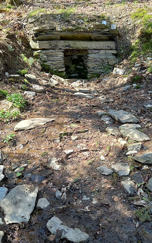 studánka Pod Poutní horou (14808) - květen 2023