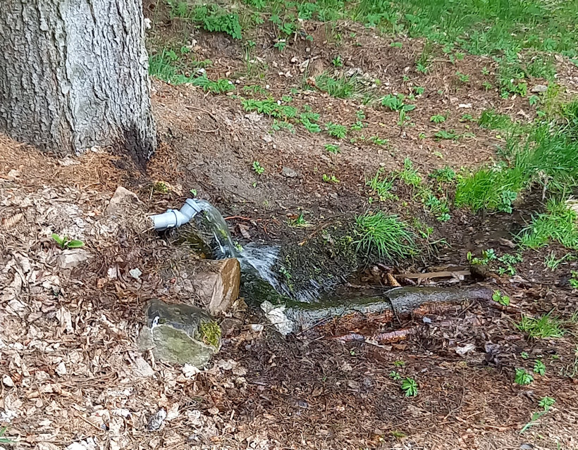 studánka bez jména (14810) - květen 2023