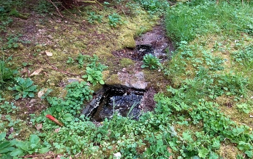 studánka Floriánská (14814) - květen 2023