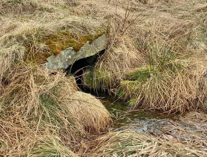 studánka bez jména (14821) - březen 2023