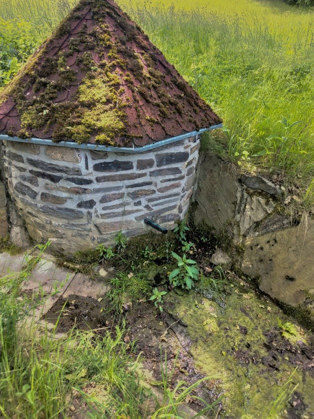 studánka U Poněšické obory (14838) - červen 2023