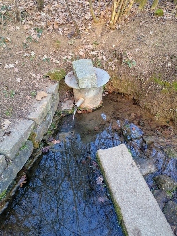 studánka Nad Pražskou  (14846) - březen 2023