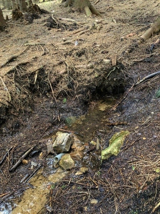 studánka bez jména (14847) - červen 2023