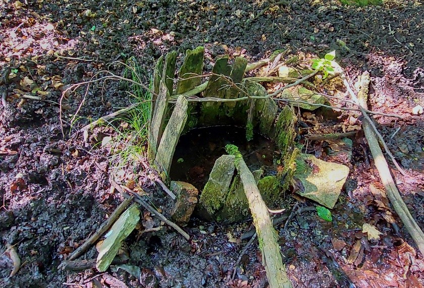 studánka U Brožů (14855) - červen 2023