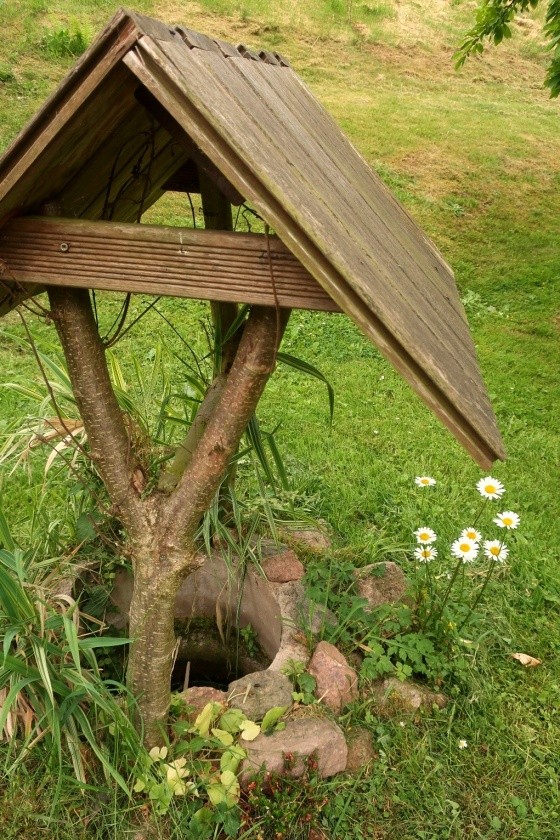 studánka bez jména (14860) - červen 2023