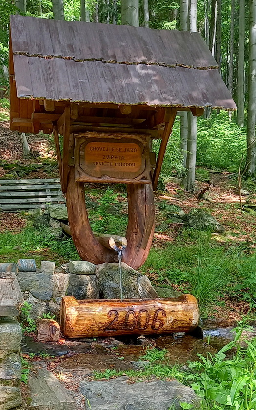 studánka bez jména (14883) - červen 2023