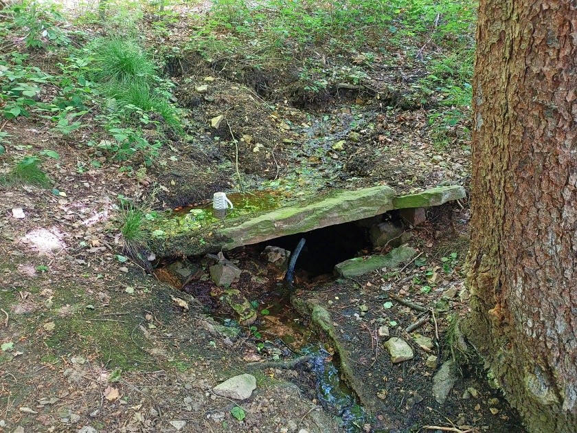studánka Dvůr u Lípy (14894) - červenec 2023