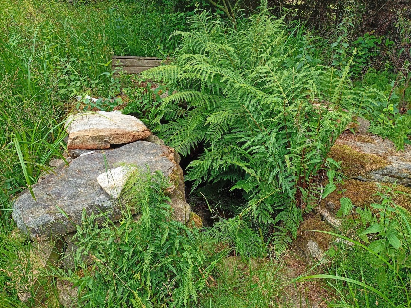 studánka Pod Vyhlídkou II (14901) - červenec 2023