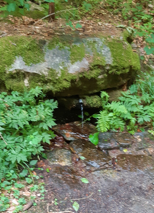 studánka U cesty (14903) - červenec 2023