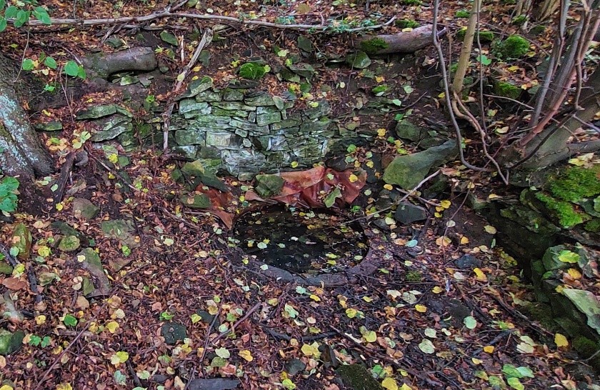 studánka U Angely (14916) - srpen 2023