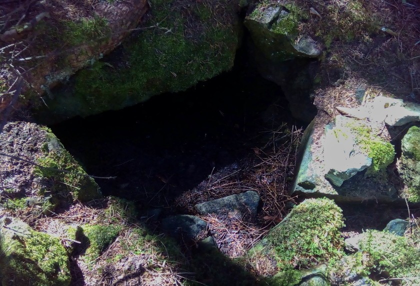 studánka U bývalého stavení (14934) - srpen 2023