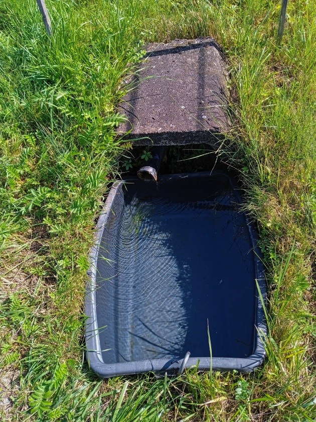 studánka U koníčků (14935) - srpen 2023