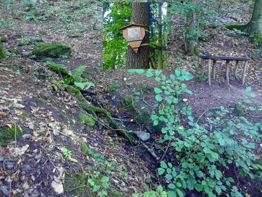 studánka U Panny Marie (14956) - srpen 2023