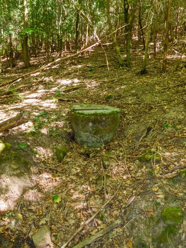 studánka Orlitka (14963) - srpen 2023