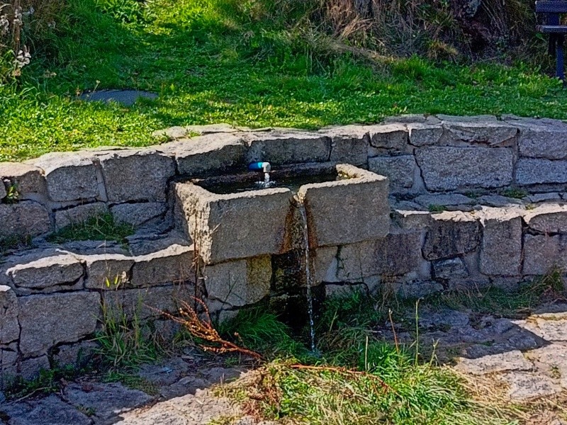 pramen Lesopark Pernink (14965) - srpen 2023