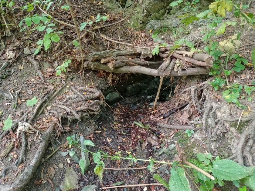 studánka bez jména (14967) - srpen 2023