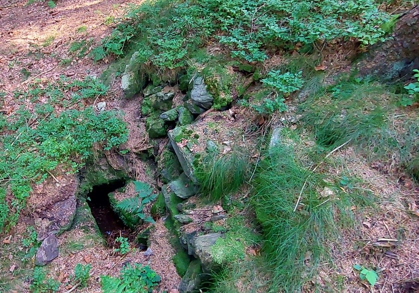 studánka Nad Martinou (14987) - září 2023