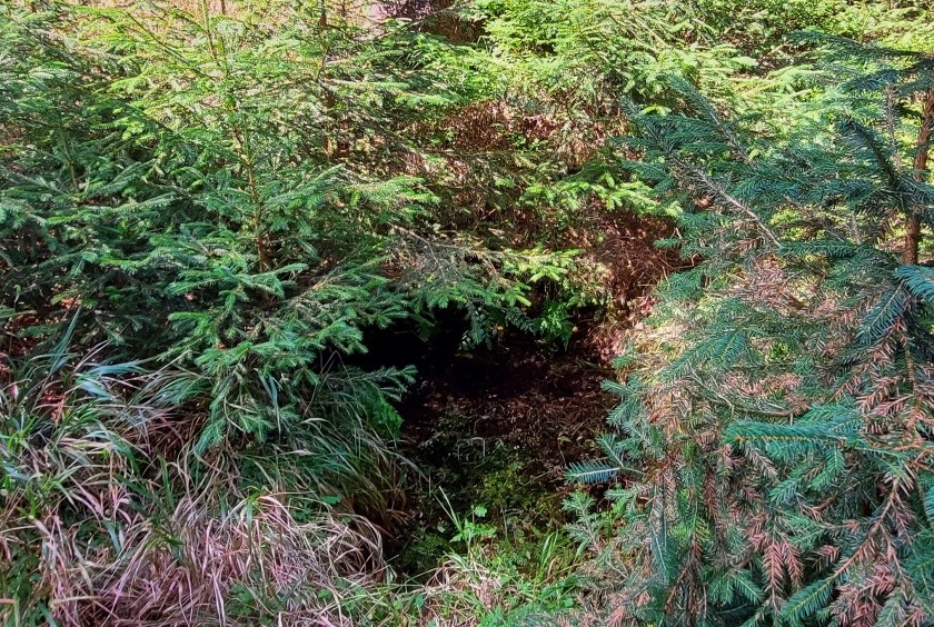 Studánka Šimona a Pavla (14991) - září 2023