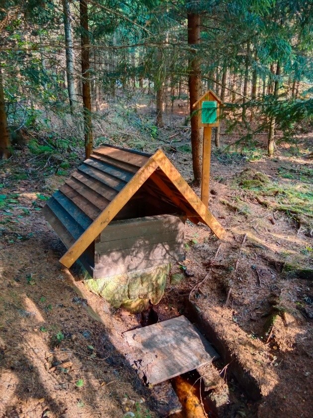studánka U Svatkovy hájovny (15002) - září 2023