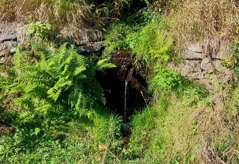 studánka bez jména (15005) - září 2023