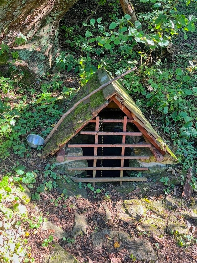 studánka U drážního domku (15008) - říjen 2023