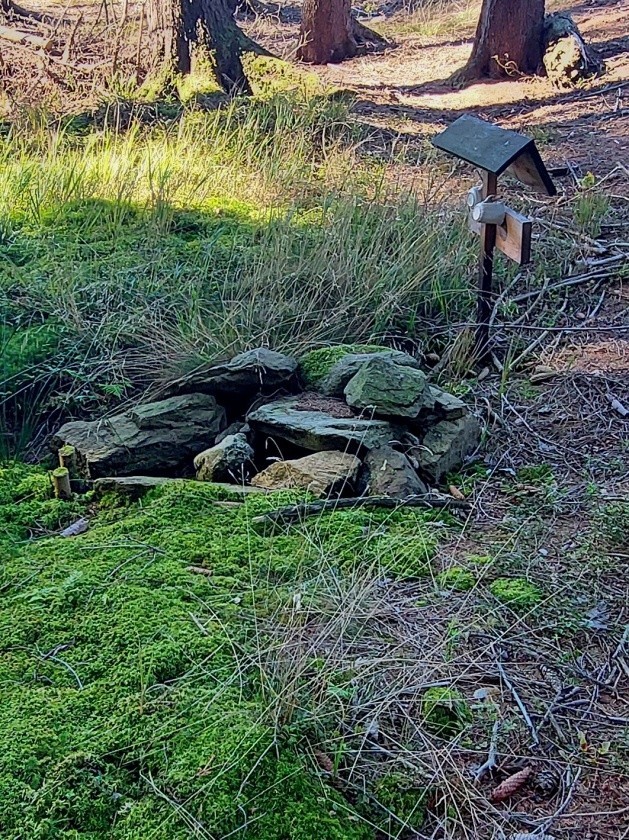 studánka Pavláska (15016) - říjen 2023