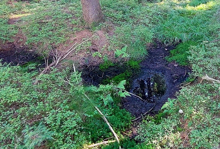Kančí pramen (15017) - říjen 2023