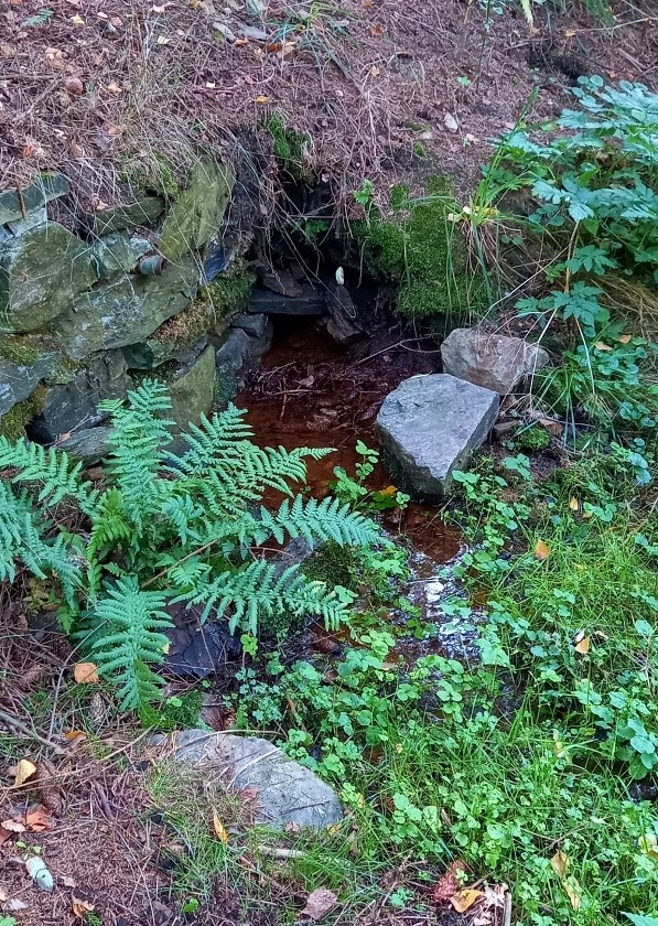 studánka bez jména (15020) - říjen 2023